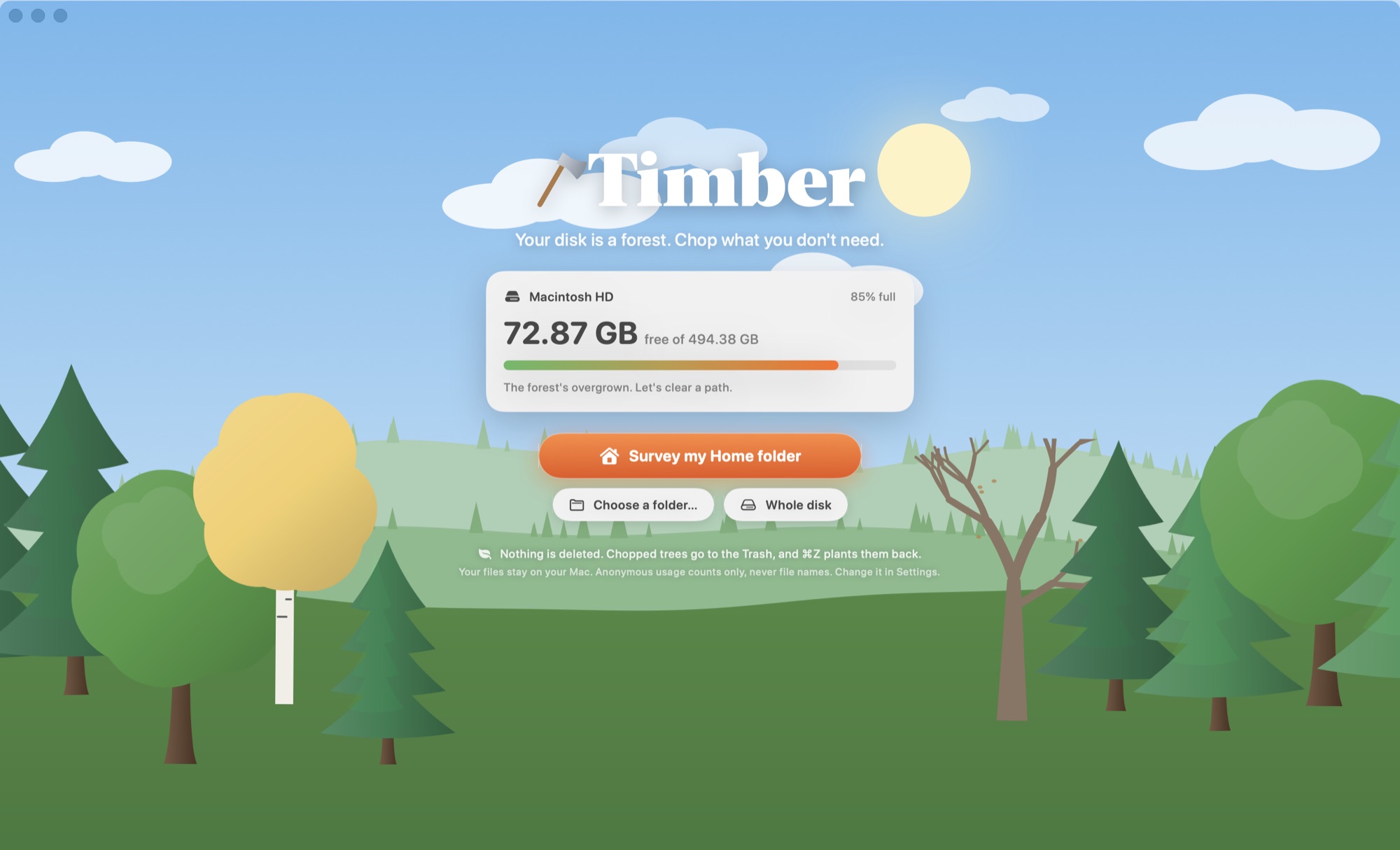 Timber's welcome screen with disk usage